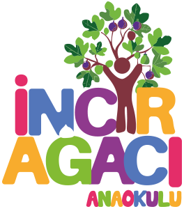 İncir Ağacı Anaokulu